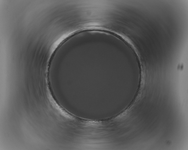 X0000111021333200907101331
