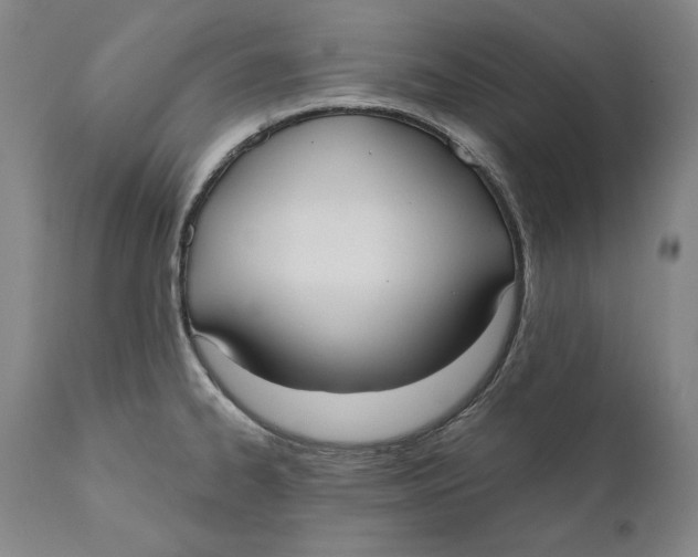 X0000111021334200907101331