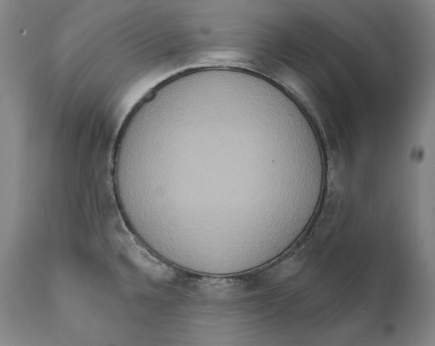 X0000111021336200907101331