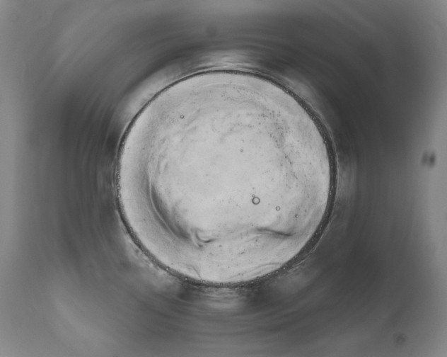 X0000111021338200907101331