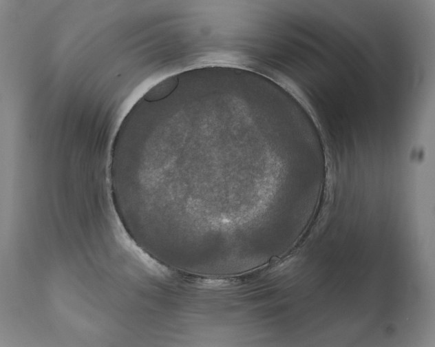 X0000111021339200907101331