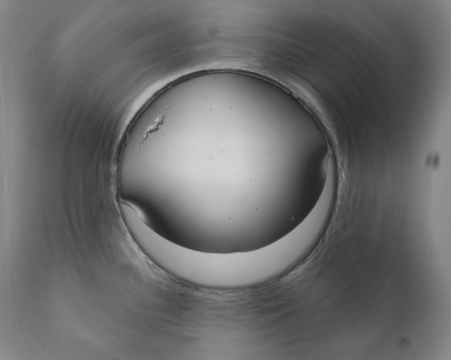 X0000111021340200907101331