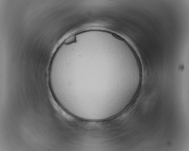 X0000111021341200907101331