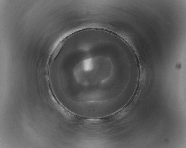 X0000111021342200907101331
