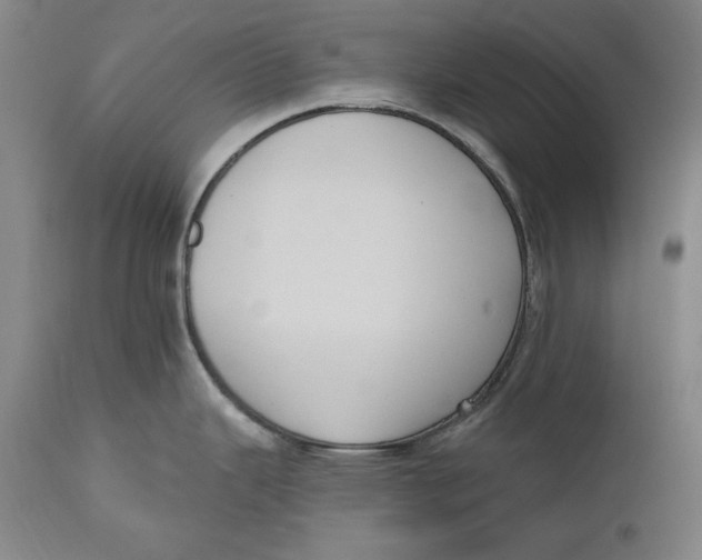 X0000111021343200907101331
