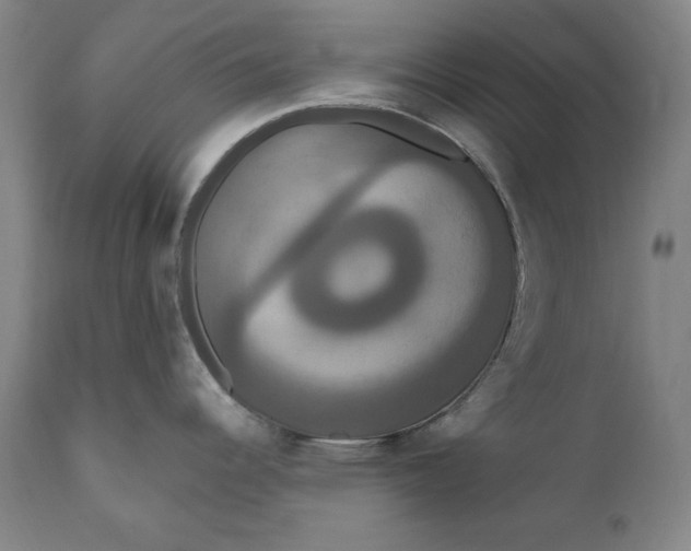 X0000111021344200907101331