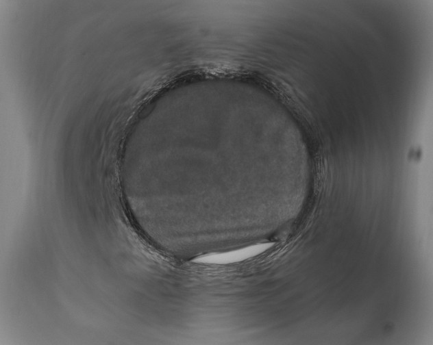 X0000111021345200907101330