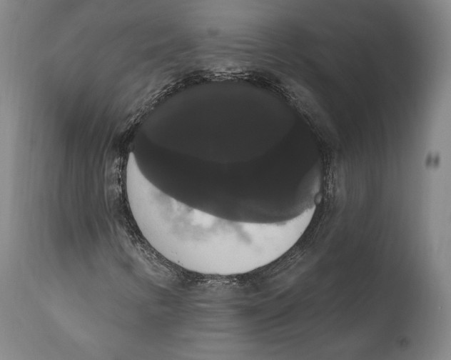 X0000111021346200907101330