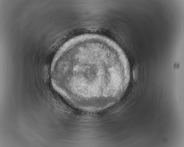 X0000111021347200907101330