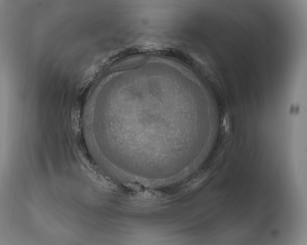 X0000111021348200907101330