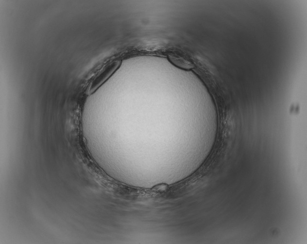 X0000111021349200907101330