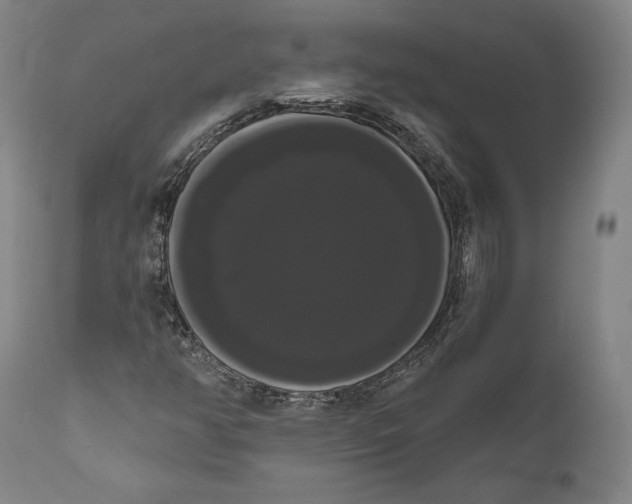 X0000111021350200907101330