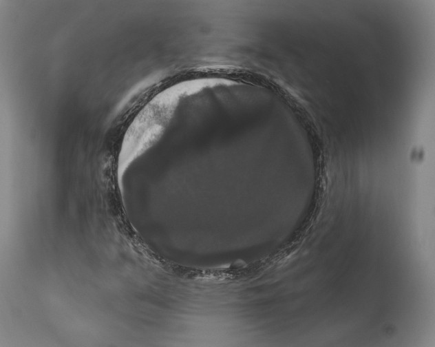 X0000111021351200907101330