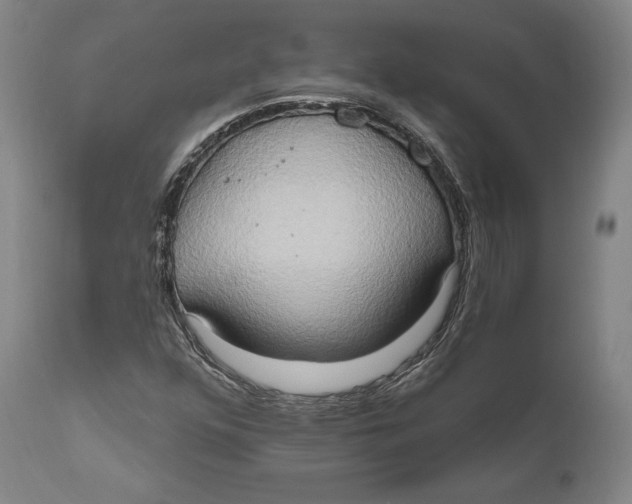 X0000111021352200907101330