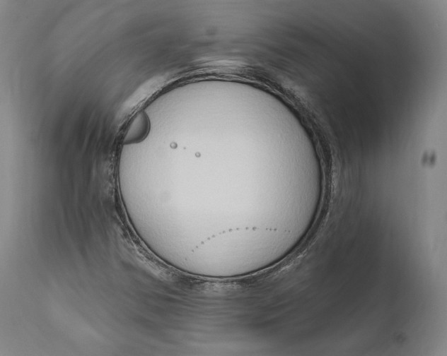 X0000111021354200907101330