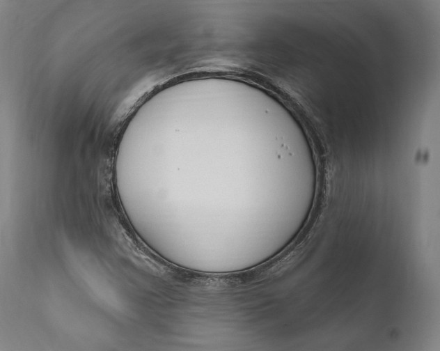 X0000111021355200907101330