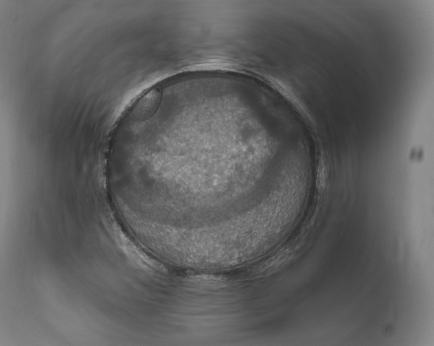 X0000111021356200907101330