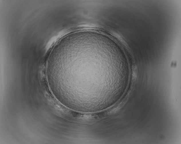 X0000111021357200907101330