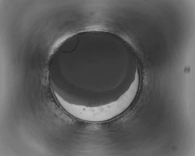 X0000111021358200907101330