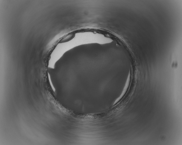 X0000111021359200907101330