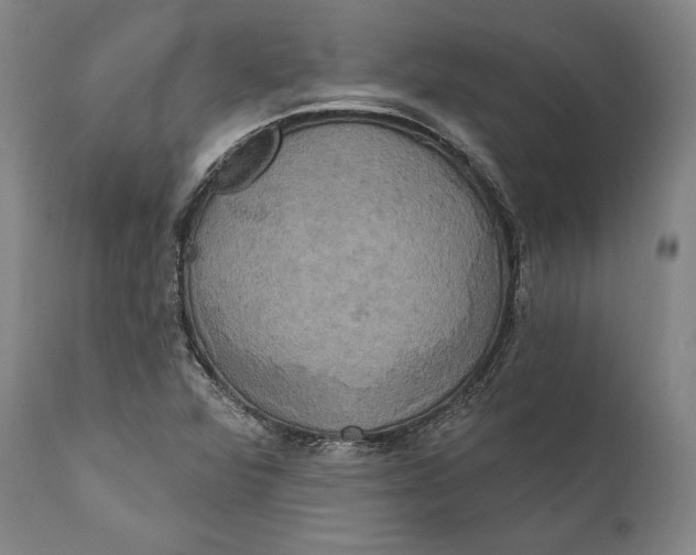 X0000111021360200907101330