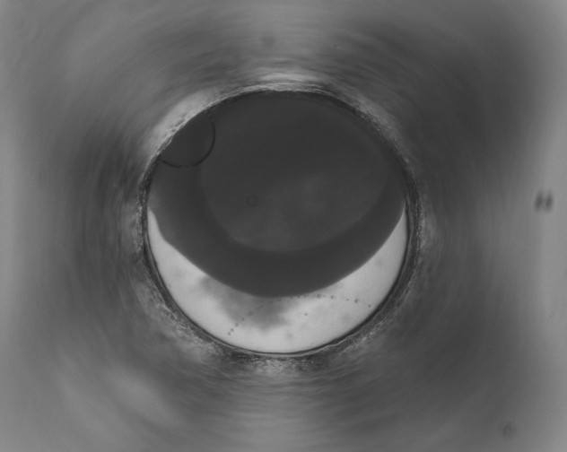 X0000111021362200907101330