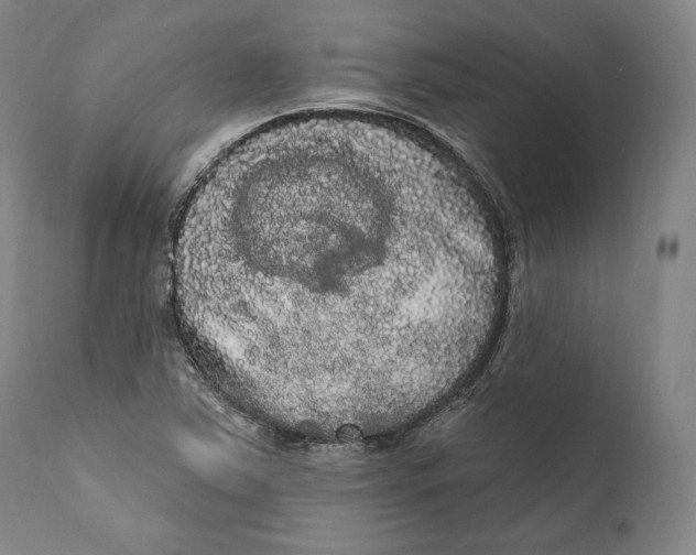 X0000111021363200907101330