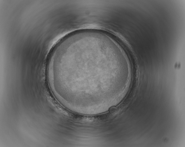 X0000111021364200907101330
