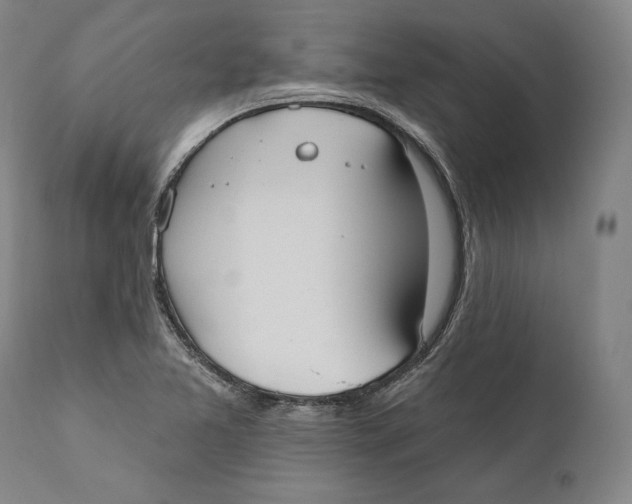 X0000111021365200907101330