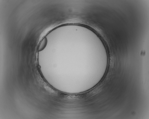 X0000111021366200907101330