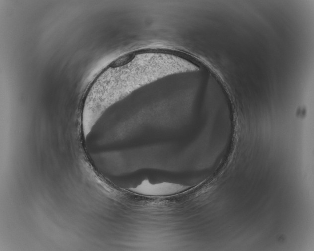 X0000111021367200907101330