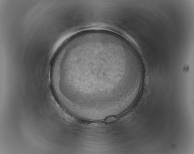 X0000111021368200907101330