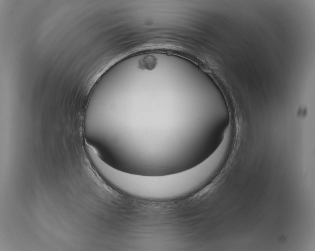 X0000111021369200907101330