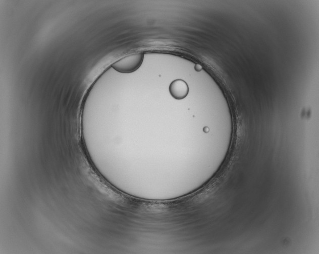 X0000111021370200907101330