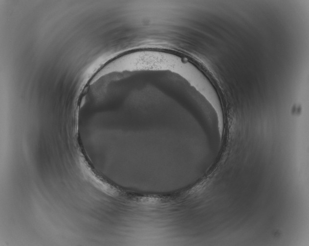 X0000111021371200907101330