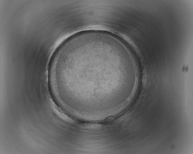 X0000111021372200907101330