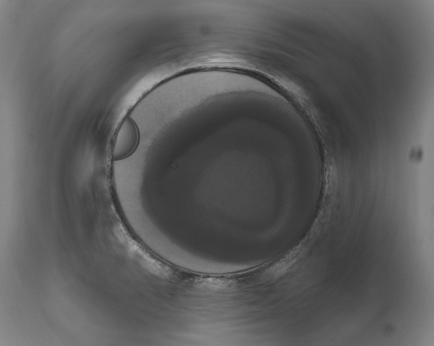 X0000111021374200907101330