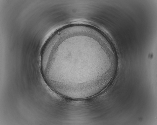 X0000111021376200907101330