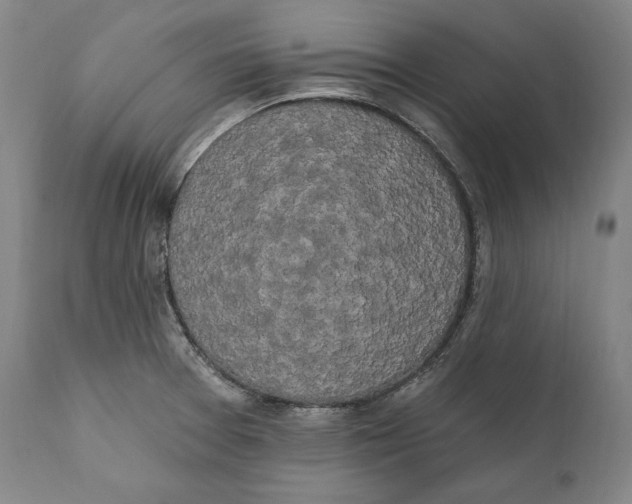 X0000111021377200907101330