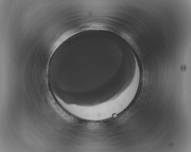 X0000111021378200907101330