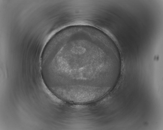 X0000111021380200907101330