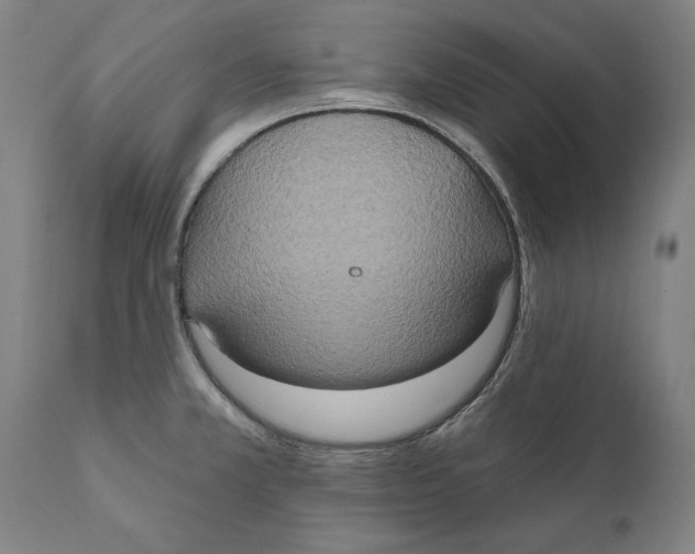 X0000111021381200907101330