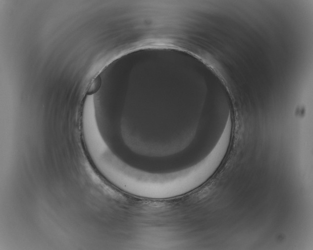 X0000111021382200907101330