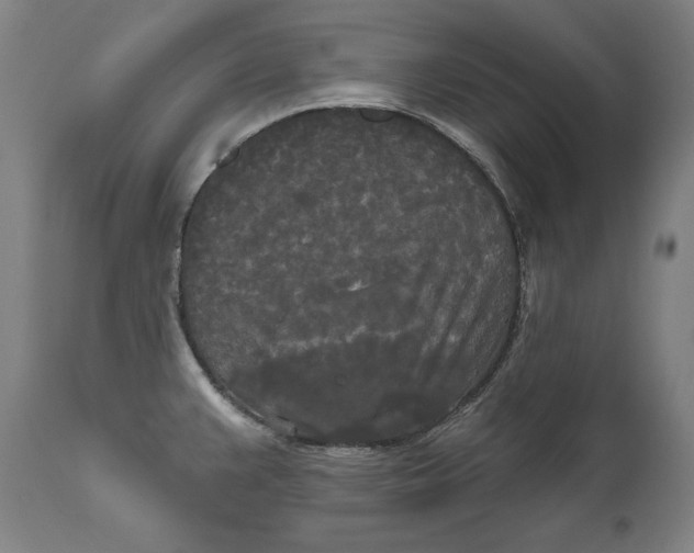 X0000111021383200907101330