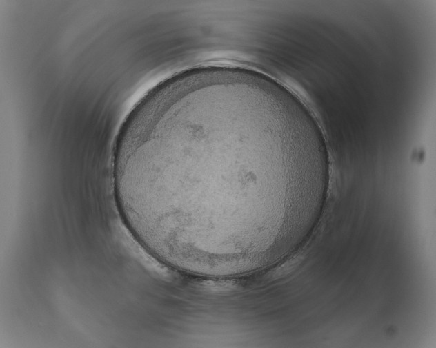X0000111021384200907101330