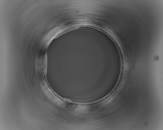 X0000111021385200907101330