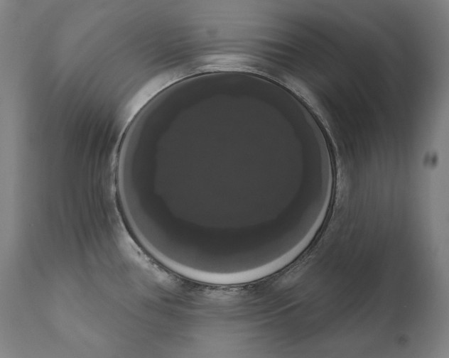 X0000111021386200907101330