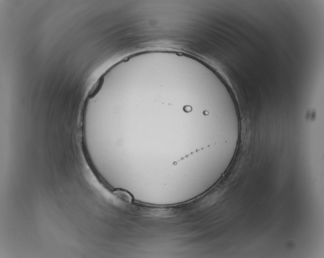 X0000111021387200907101330