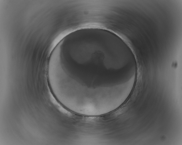 X0000111021390200907101330
