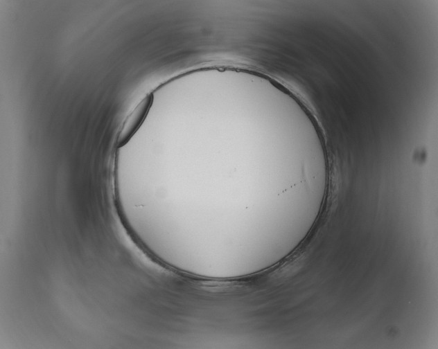 X0000111021391200907101330